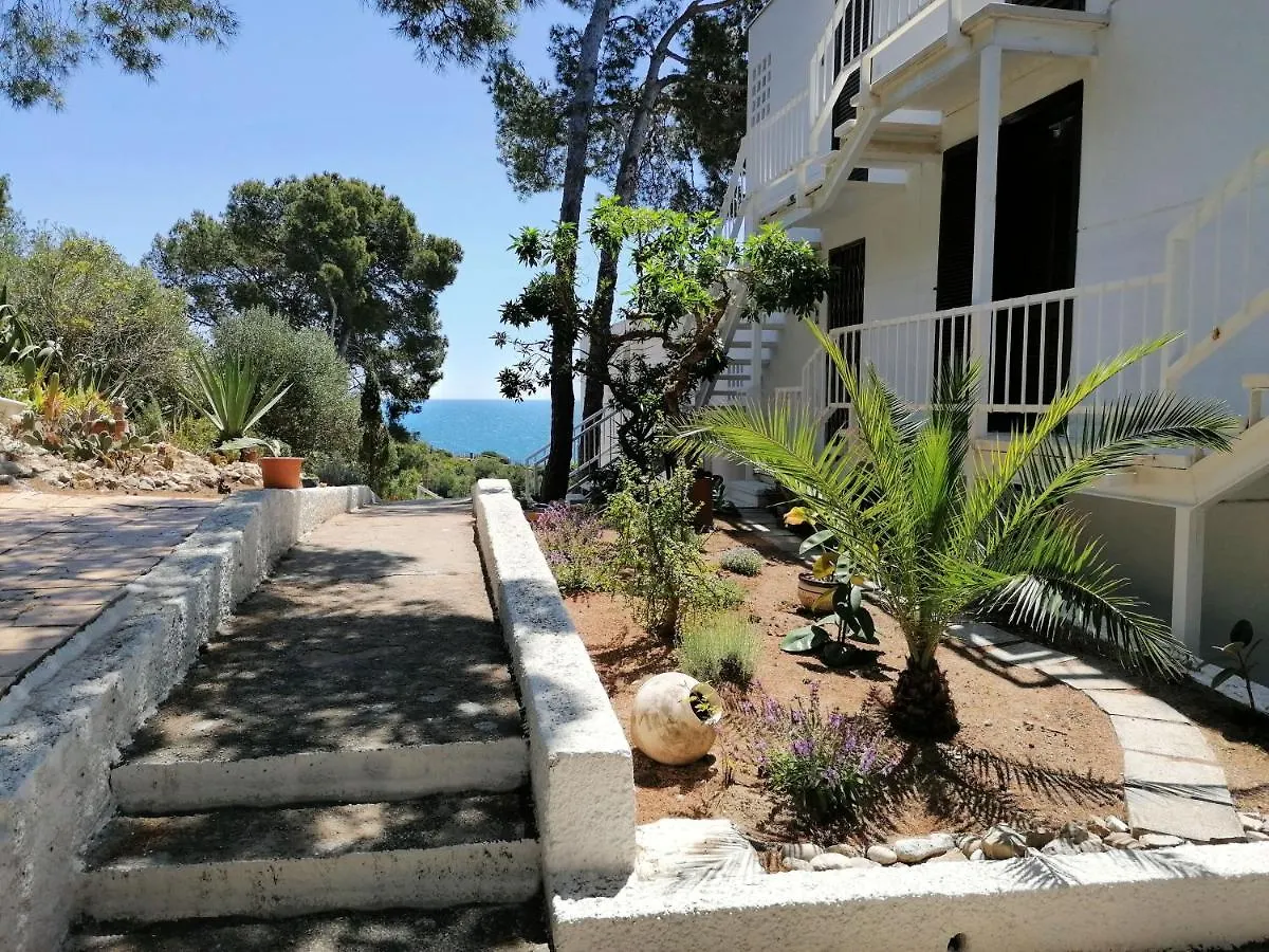 Ole Ole 11 Apartment Salou Spain